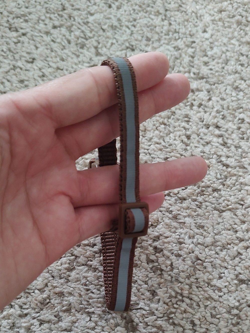 (8) Reflective Cat Collars - Picture 9 of 10